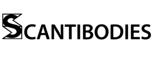 LV-2
